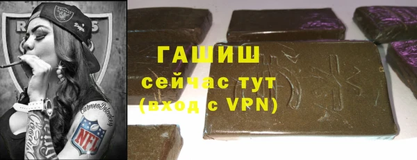 гашик Алексин