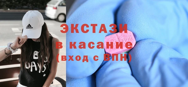 гашик Алексин