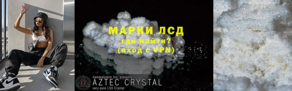 гашик Алексин