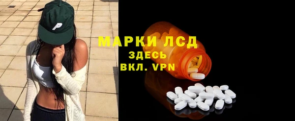 гашик Алексин