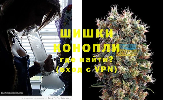 гашик Алексин