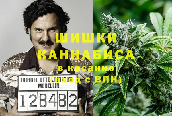 гашик Алексин