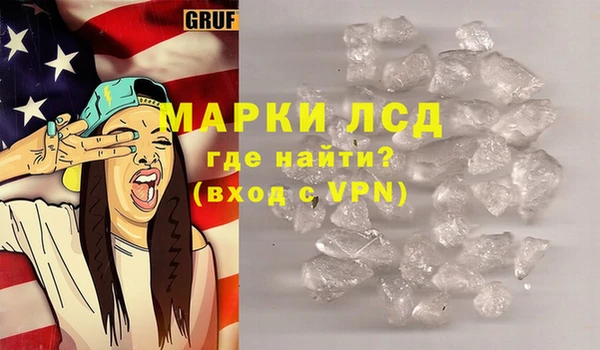 гашик Алексин