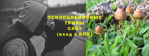 хмурый Алексеевка