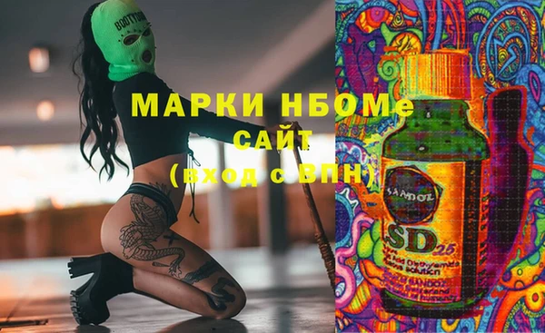 гашик Алексин