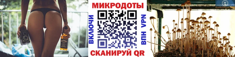 где продают   Юрьев-Польский  Галлюциногенные грибы мицелий 